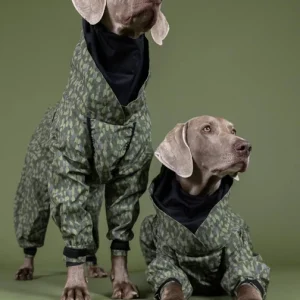 Комбінезон для собак Rain Suit Green Paikka