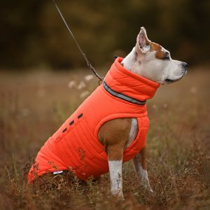 Noble Pet Bobby Orange - пуховик для собак